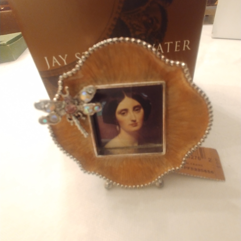 Jaystronger dragonfly frame